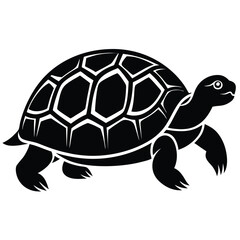 turtle vector illustration