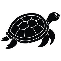 turtle vector illustration