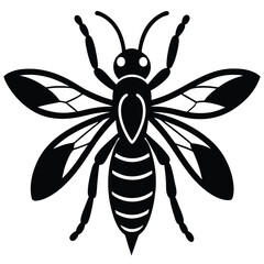 vector illustration of a black beetle