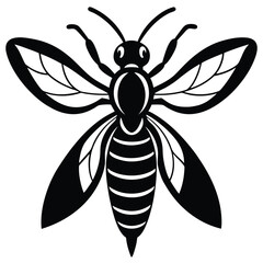 bee vector illustration