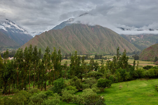 Harvest Beneath the Andes: Sacred Valley in Bloom, Farmlands in the Sacred valley