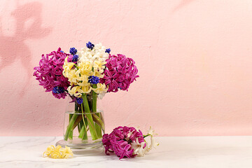 Beautiful banner of different varieties of hyacinth and muscari in vase on elegant kitchen background, template for design and screen. Abstract flower arrangement. Spring postcard,