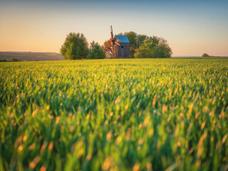 landscape view to green wheat filed and old wooden mill in morning light
