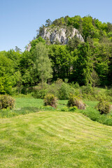Ojcowski Park Narodowy