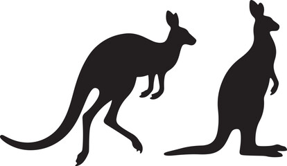 kangaroo vector illustration silhouette