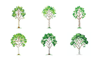 Fototapeta premium set of trees vector illustration
