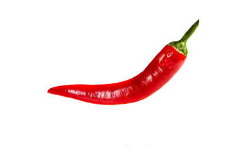 red chili pepper on transparent background isolate