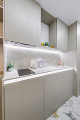 Interior of the modern luxure kitchen  in studio apartments in minimalistic style