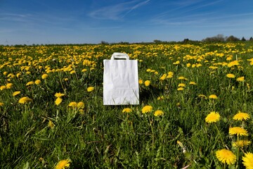 Kraft paper shopping bag with yellow flowers and wheat in a green agricultural field with wind...