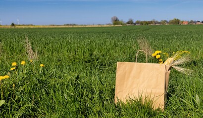 Kraft paper shopping bag with yellow flowers and wheat in a green agricultural field with wind...