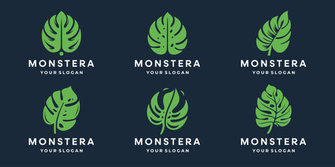 Minimalist leaves monstera design collection. simple, modern style illustrations. © ulhaq_std