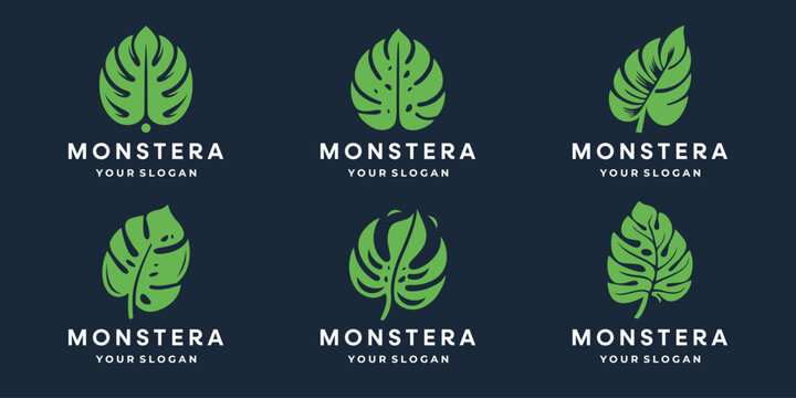 Monstera Leaf Logo Images  Browse 15,950 Stock Photos, Vectors, and Video  | Adobe Stock