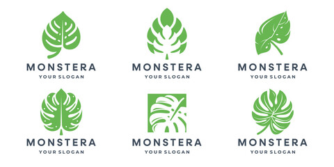 Collection of silhouette leaf elements. Set of tropical plants, leaf branch, palm, monstera leaves.