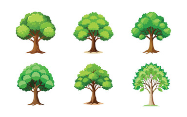 Obraz premium collection of trees