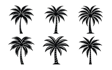 Fototapeta premium palm trees silhouettes