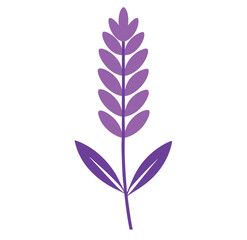 Lavender Flower with Green Leaves vector design