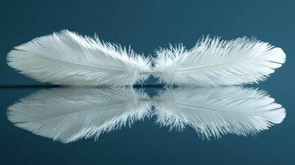 Two delicate white feathers mirroring on a dark surface