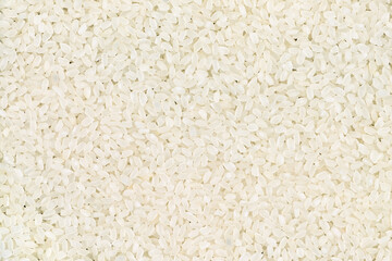 Rice grains filling entire frame, healthy organic food background. Background of uncooked white rice grains, top view.