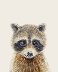 Raccoon Wall Art – Cute Raccoon Printable, Woodland Nursery Decor, Animal Print for Kids Room, Rustic Farmhouse Animal 