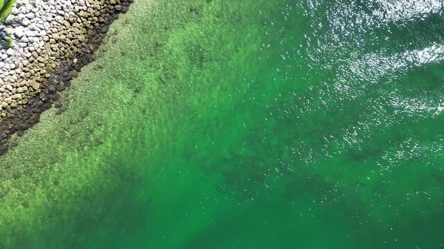Vertical drone shot of green ocean water in Miami, Florida