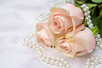 The branch of pink rose on white fabric background
