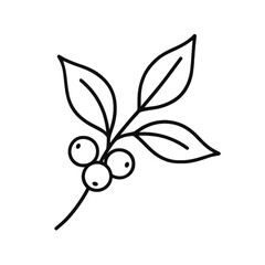 Coffee Plant Leaves and Berries in Minimalist Style  