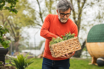 Attentive senior man sort and organize potted plant at backyard