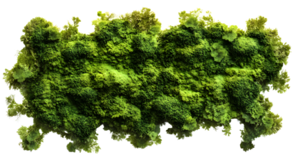 Green moss covered wall surface isolated on transparent png background.