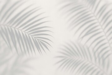 Obraz premium Elegant palm leaf shadows.