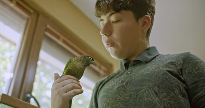 A young girl holds her pet green-cheeked conure parrot. The bird sits on her hand and then on her shoulder. Shot from a low angle.
