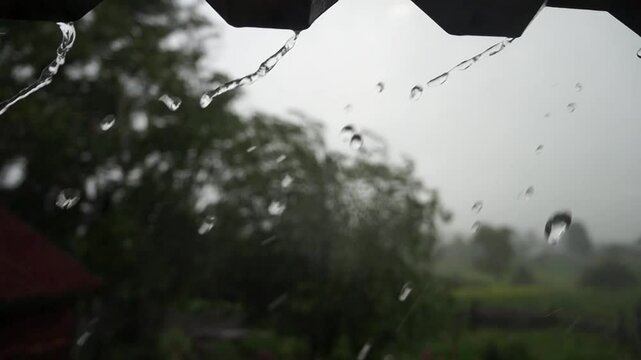 rain drops on the cornice