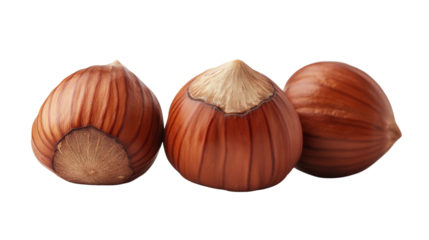 hazelnuts isolated on white background , transparent
png 