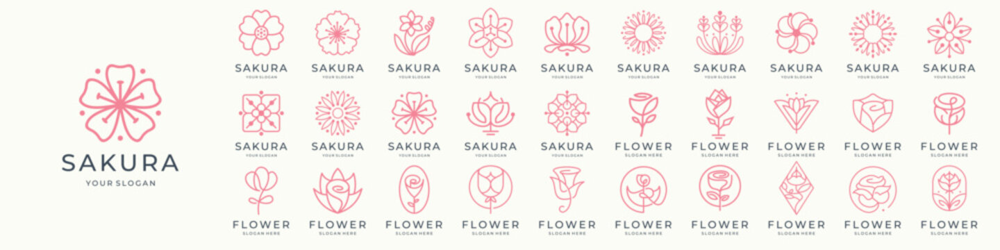 mega collection Floral blossom logo and icon. Abstract beauty flower line Pink flowers minimalist.