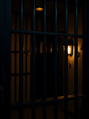 Obraz premium bar prison close-up