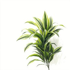Fototapeta premium Vibrant Green Leaves, Lush Foliage, Watercolor Painting, Botanical Illustration, Houseplant