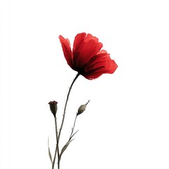 Red Poppy Flower Watercolor Painting, Elegant Botanical Illustration, Single Bloom, Minimalist Design