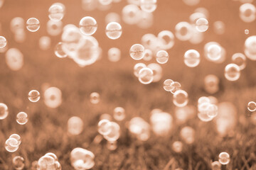 Many beautiful soap bubbles floating above green grass