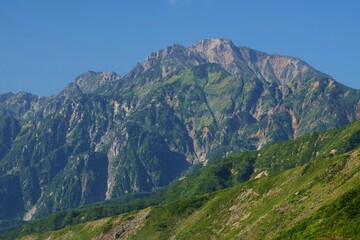 夏の白馬八方ハイキング