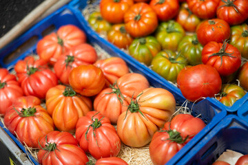 Ripe red tomatoes arranged in crates offered for sale at market counter. Concept of quality organic and farm-grown products