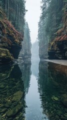 Serene river gorge reflecting misty forest