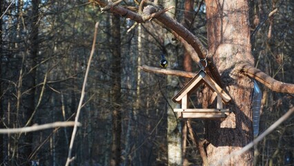 Bird feeder in the forest.
A wooden bird feeder is hanging on a tree in a winter forest, with a titmouse in the background. A cozy wildlife scene.