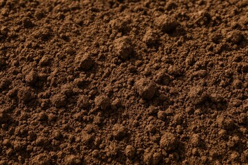 Rich, fertile soil texture