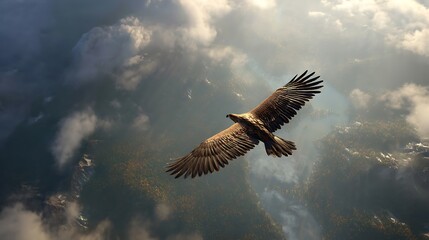 Naklejka premium 雄大な自然の上空を飛翔する鷲