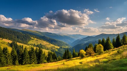 Obraz premium 太陽が照らす緑豊かな山の風景