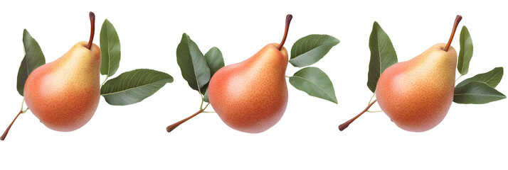 Elegant arrangement of three pears with leaves on a stark black background