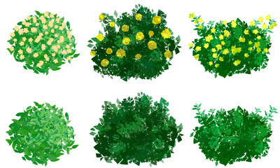 set of green leaves★黄色の花咲く街路樹の背景素材★ワンポイントセット