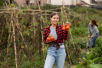 Concept of active hobby, cultivation and gardening in rural area. Young woman is working in garden...