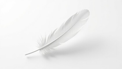 A single white feather floating on a stark white background, pure, texture, soft