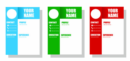 modern cv design template with 3 colors, good for job application
