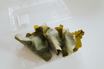 こどもの日に食べる柏餅